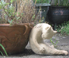Picture of pottery cat and planter